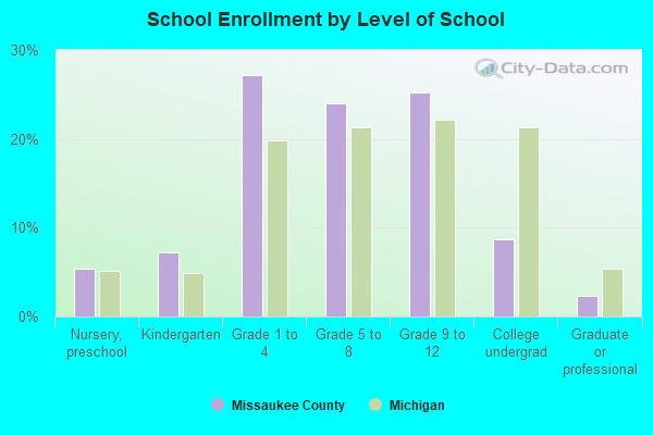 School Enrollment by Level of School