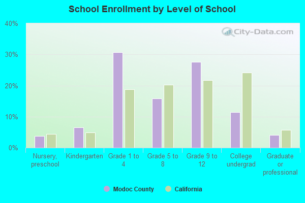 School Enrollment by Level of School