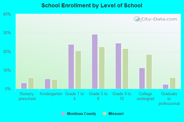 School Enrollment by Level of School