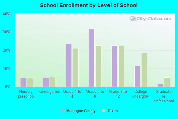 School Enrollment by Level of School