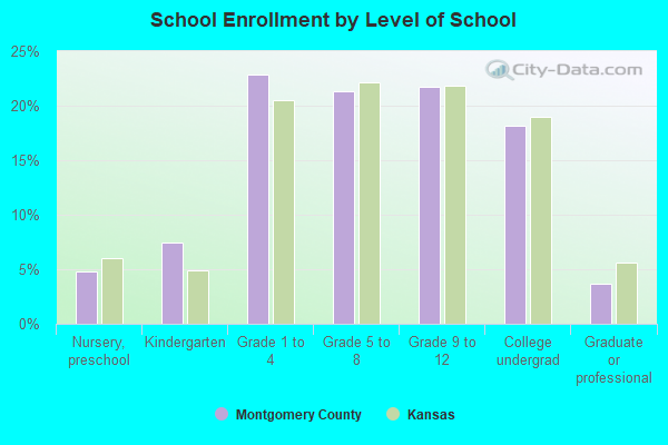 School Enrollment by Level of School