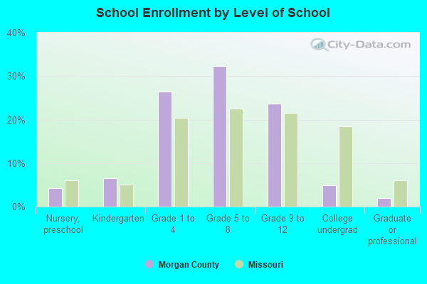 School Enrollment by Level of School