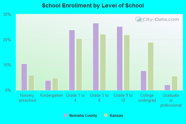 School Enrollment by Level of School