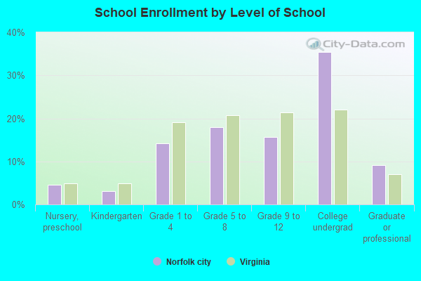 School Enrollment by Level of School