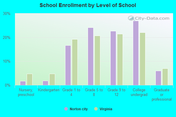 School Enrollment by Level of School