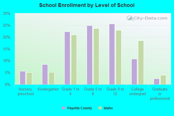 School Enrollment by Level of School