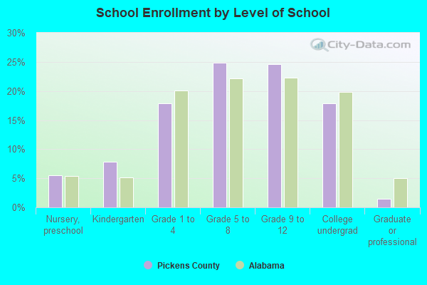 School Enrollment by Level of School