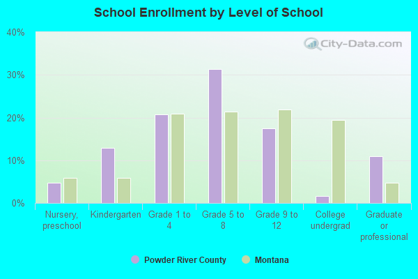 School Enrollment by Level of School