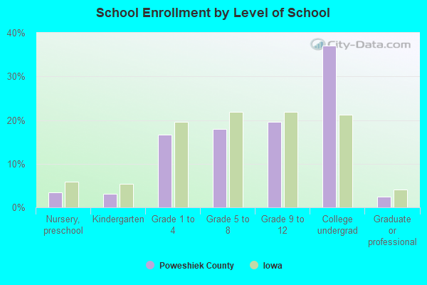 School Enrollment by Level of School