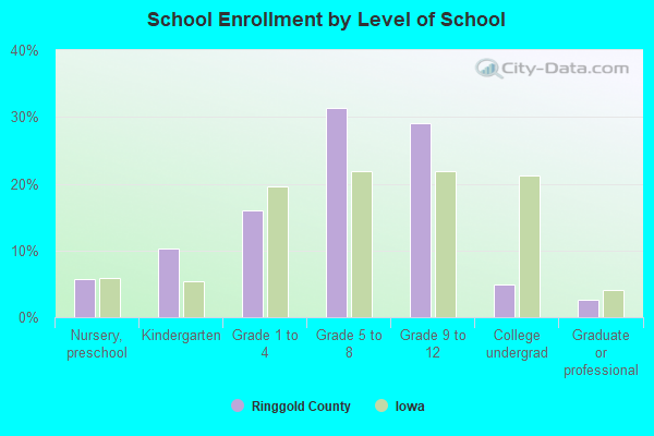 School Enrollment by Level of School