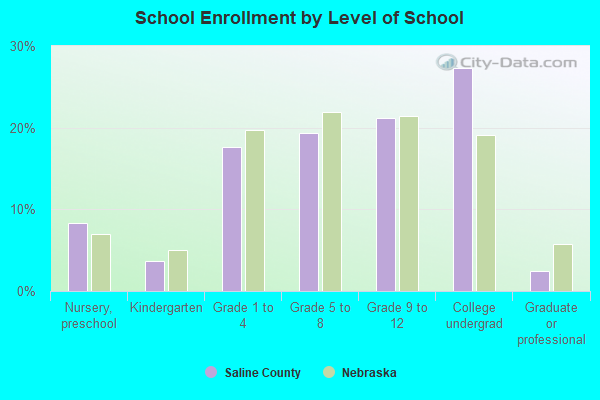 School Enrollment by Level of School