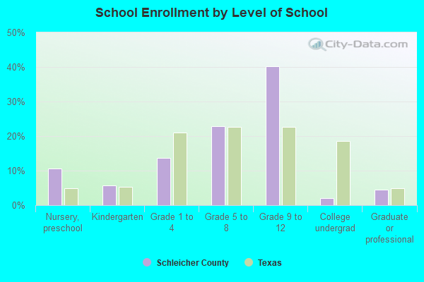 School Enrollment by Level of School