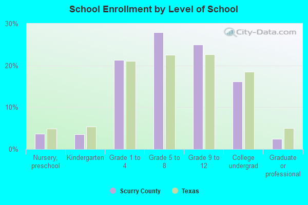 School Enrollment by Level of School