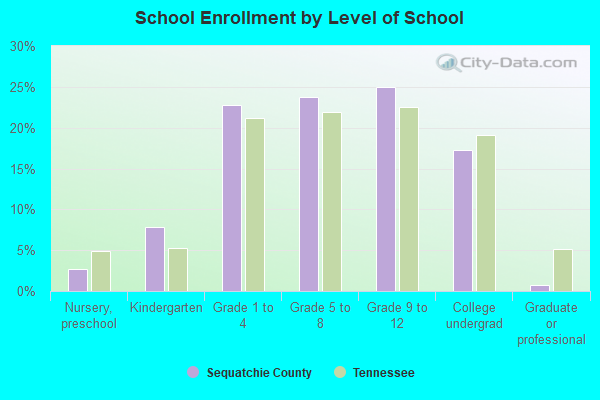 School Enrollment by Level of School