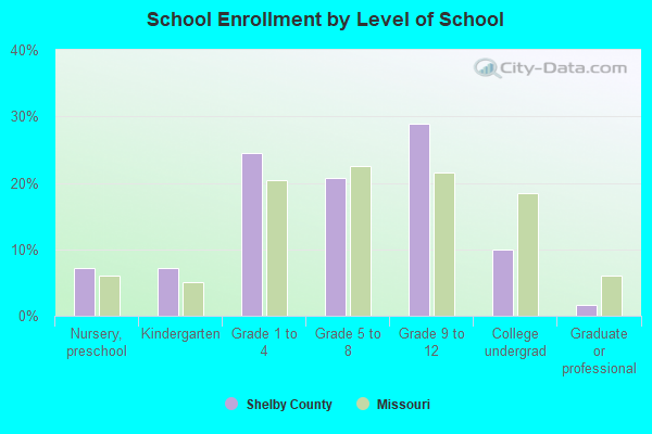 School Enrollment by Level of School