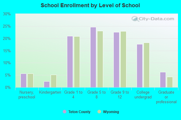 School Enrollment by Level of School