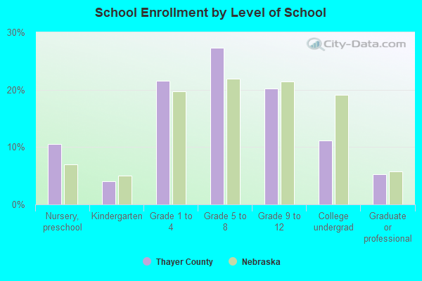 School Enrollment by Level of School