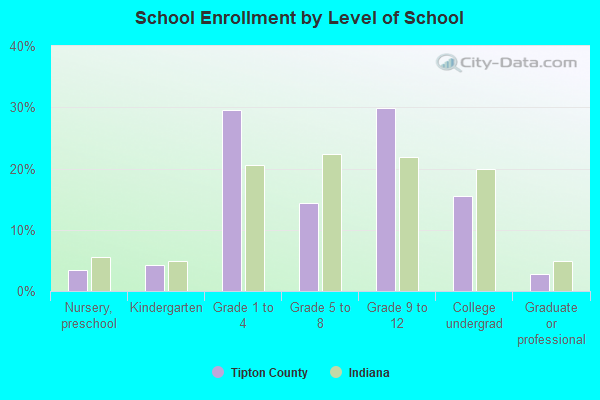 School Enrollment by Level of School