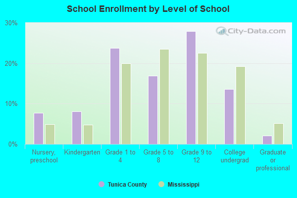 School Enrollment by Level of School