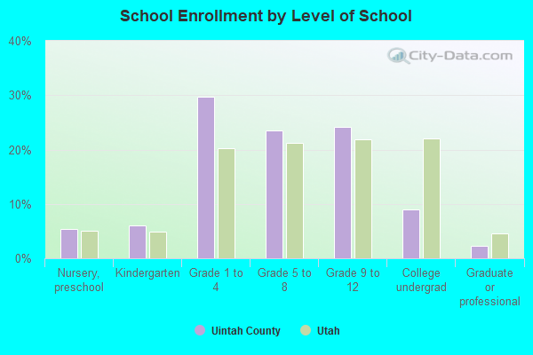 School Enrollment by Level of School