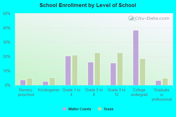 School Enrollment by Level of School