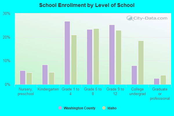 School Enrollment by Level of School