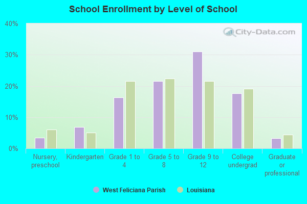 School Enrollment by Level of School