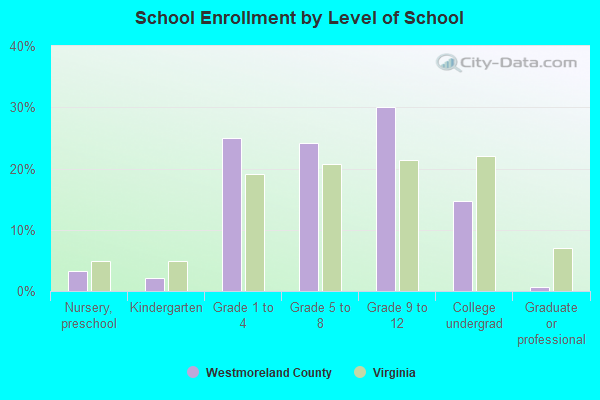 School Enrollment by Level of School