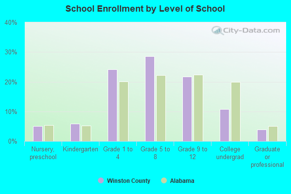 School Enrollment by Level of School