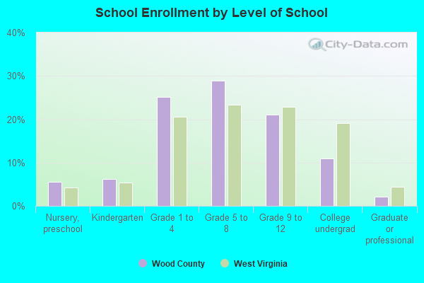 School Enrollment by Level of School