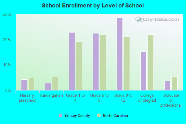 School Enrollment by Level of School