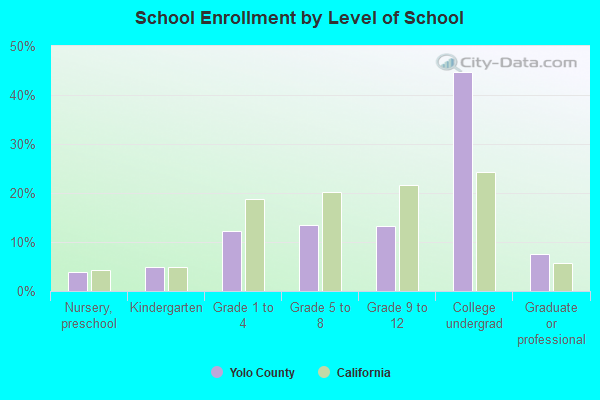 School Enrollment by Level of School