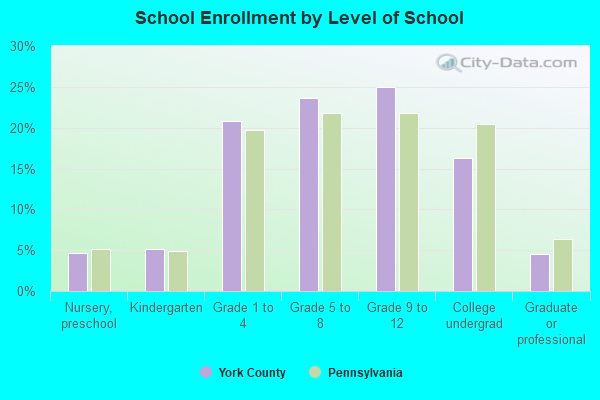 School Enrollment by Level of School