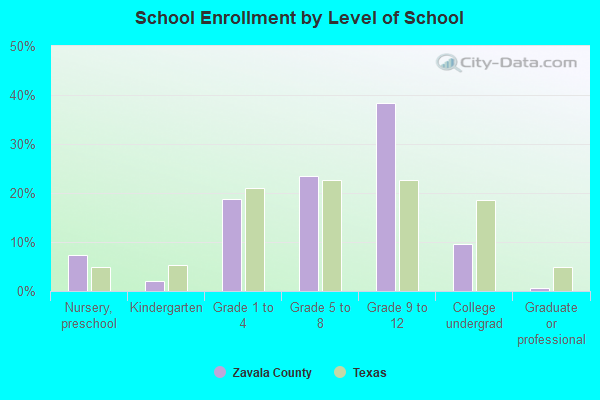 School Enrollment by Level of School