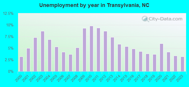 Unemployment by year in Transylvania, NC