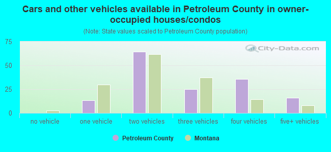 Cars and other vehicles available in Petroleum County in owner-occupied houses/condos