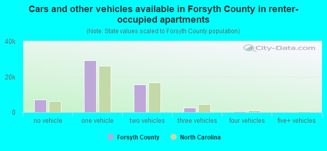 Cars and other vehicles available in Forsyth County in renter-occupied apartments