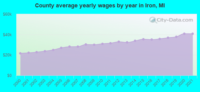 County average yearly wages by year in Iron, MI