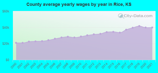 County average yearly wages by year in Rice, KS