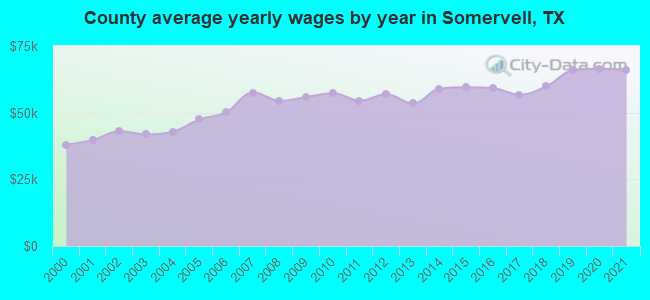 County average yearly wages by year in Somervell, TX