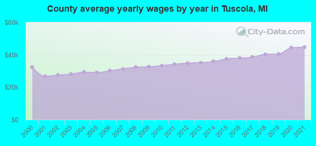 County average yearly wages by year in Tuscola, MI