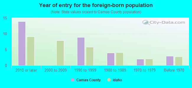 Year of entry for the foreign-born population