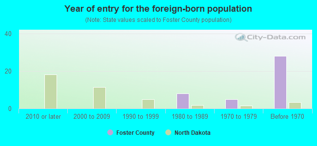 Year of entry for the foreign-born population