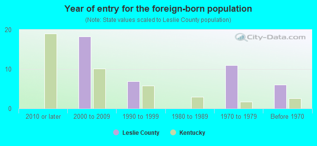 Year of entry for the foreign-born population