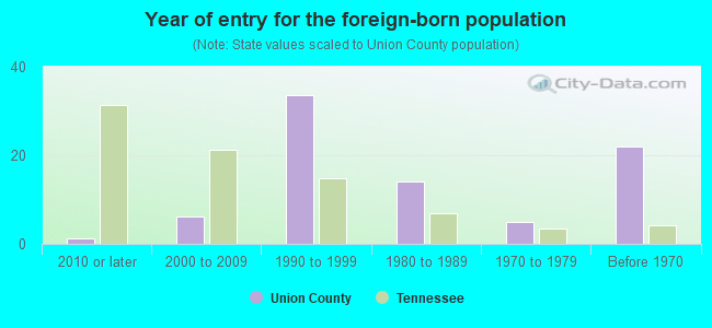 Year of entry for the foreign-born population