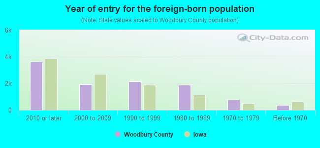 Year of entry for the foreign-born population