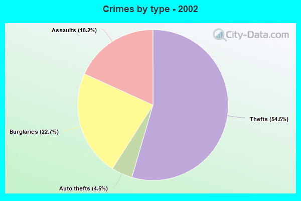 Crimes by type - 2002