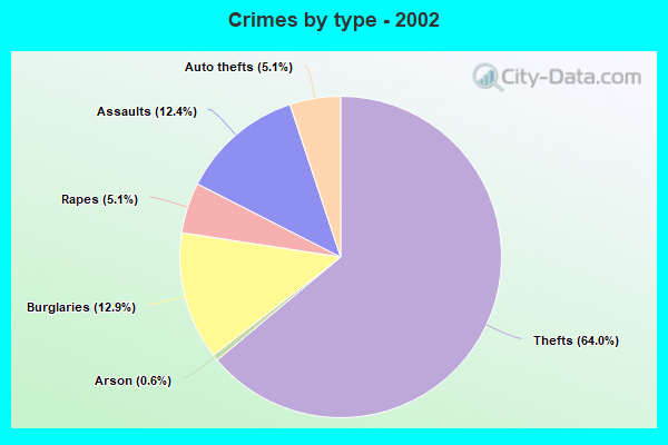 Crimes by type - 2002