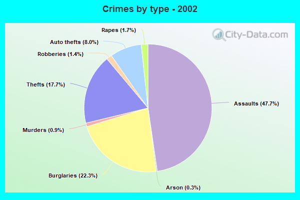 Crimes by type - 2002