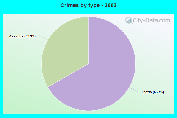 Crimes by type - 2002